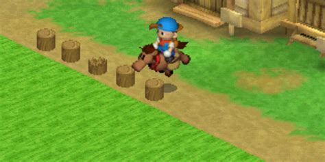 harvest moon horse race|How to Train for the Horse Race in Harvest Moon: .